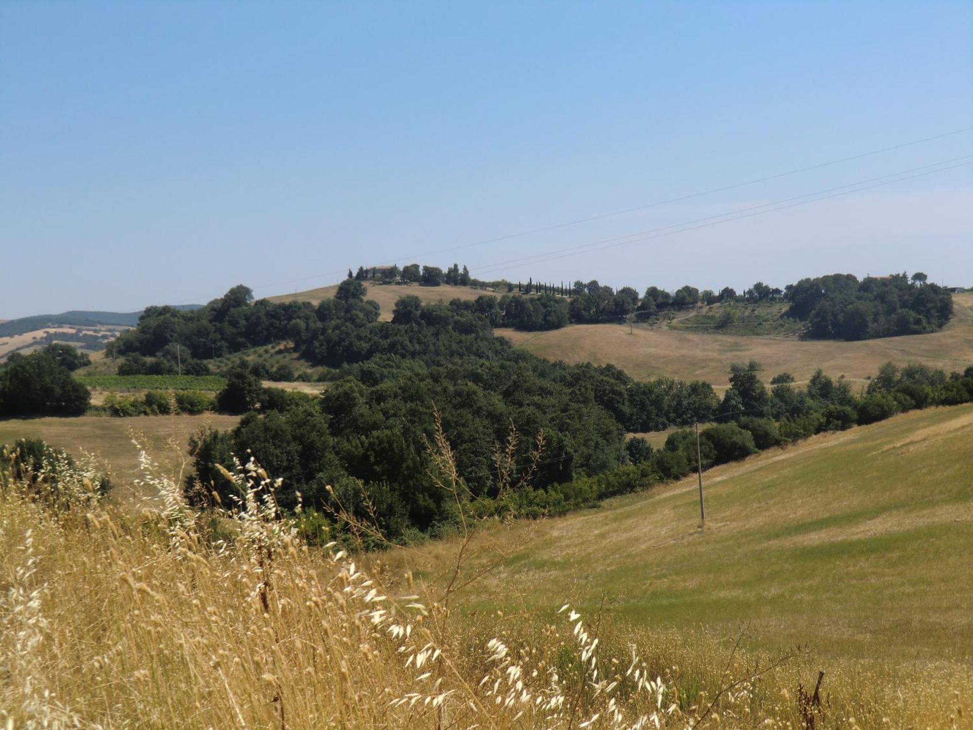 Agriturismo Cavallin Del Bufalo Манчиано Экстерьер фото