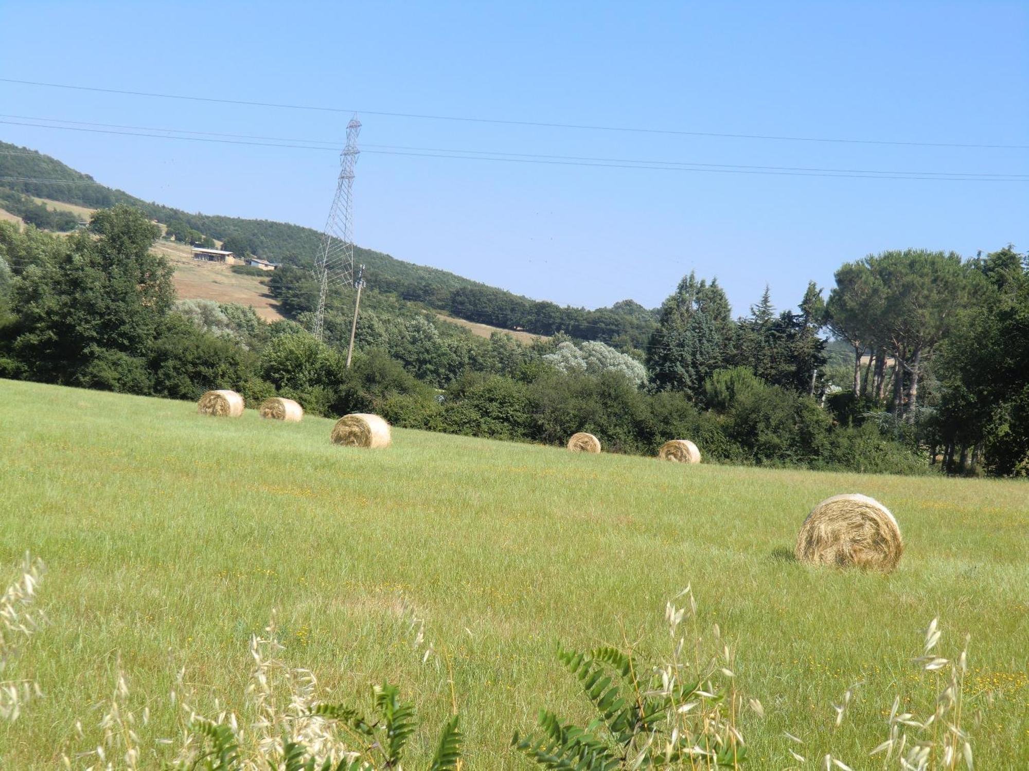 Agriturismo Cavallin Del Bufalo Манчиано Экстерьер фото